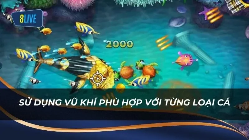 Người chơi nên lưu ý chọn vũ khí phù hợp với từng loại cá khi chơi Game Bắn Cá Ola