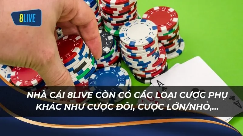 Nhà cái 8Live còn có các loại cược phụ khác như cược đôi, cược lớn/nhỏ,...