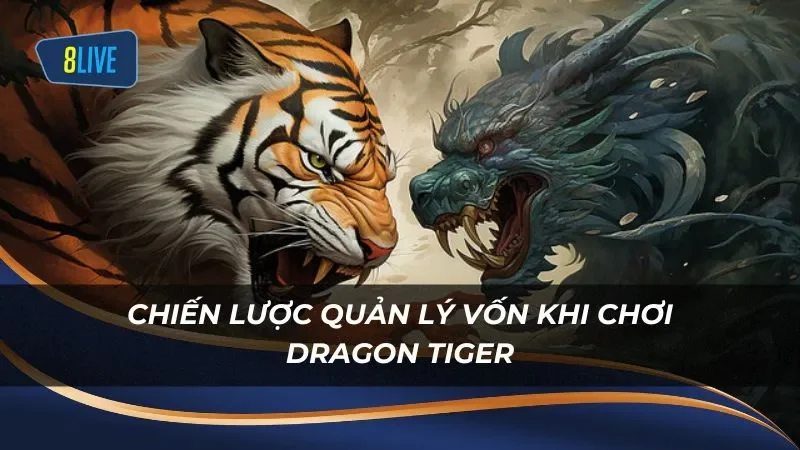 Quản lý vốn là chiến lược quan trọng khi chơi Dragon Tiger